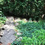 Kaszubskie Letnisko Дом отдыха *