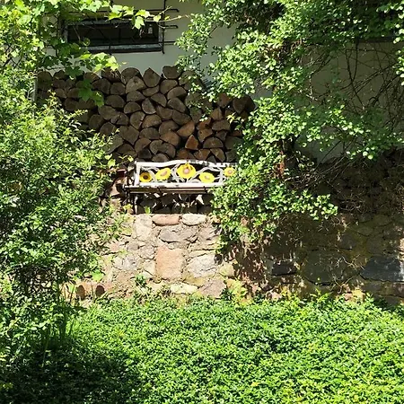 Semesterbostad Kaszubskie Letnisko