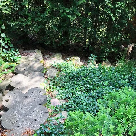 Kaszubskie Letnisko Dom wakacyjny *