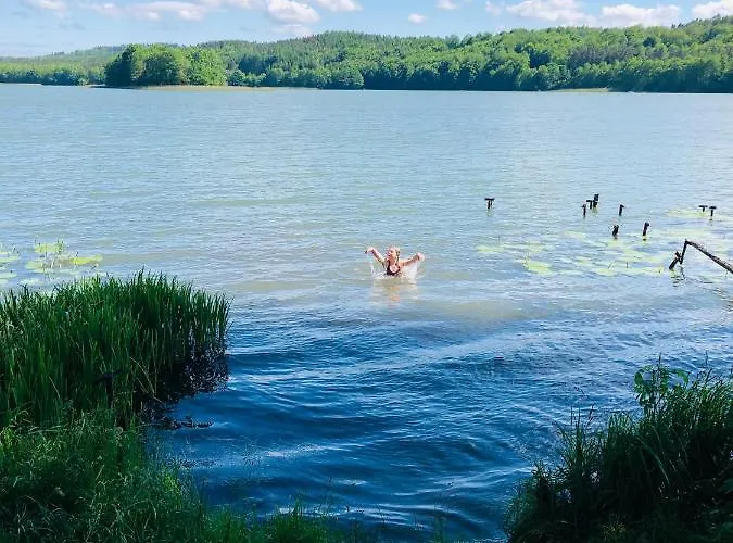 Kaszubskie Letnisko برودينيسا