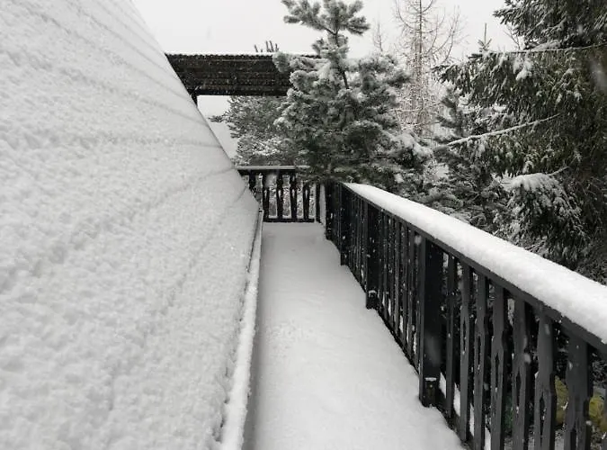 Kaszubskie Letnisko بيت للعطل برودينيسا