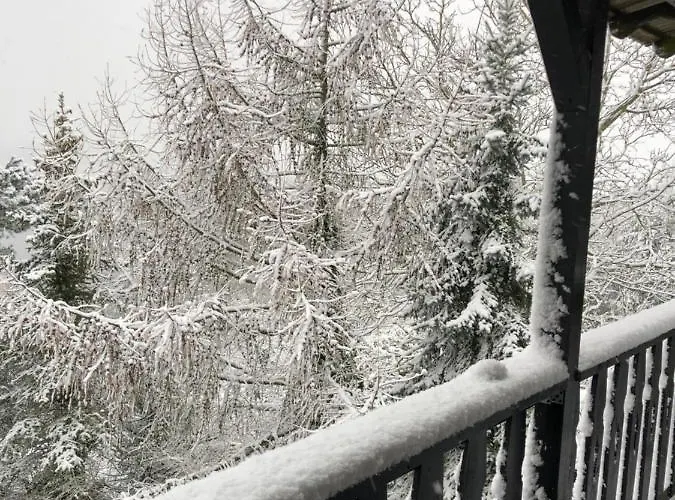 Kaszubskie Letnisko * برودينيسا