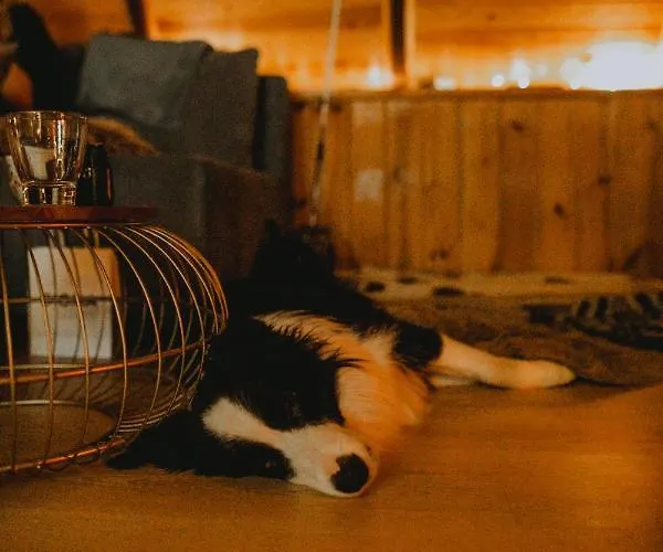 Kaszubskie Letnisko Brodnica (Kartuzy)