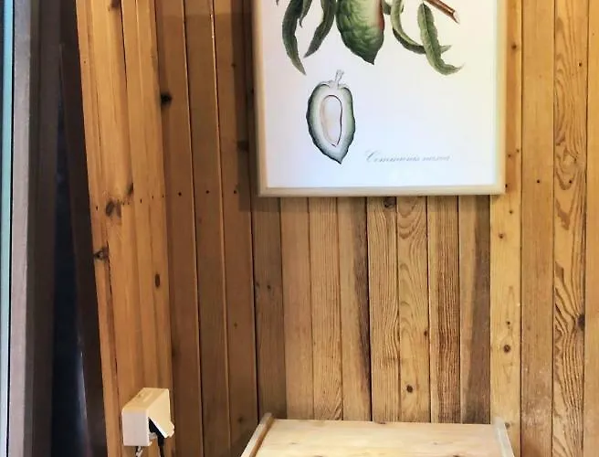 Kaszubskie Letnisko بيت للعطل برودينيسا