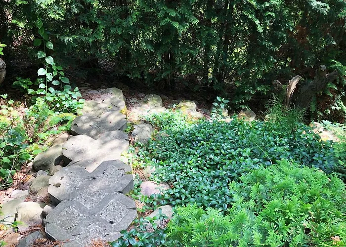 Kaszubskie Letnisko بيت للعطل *